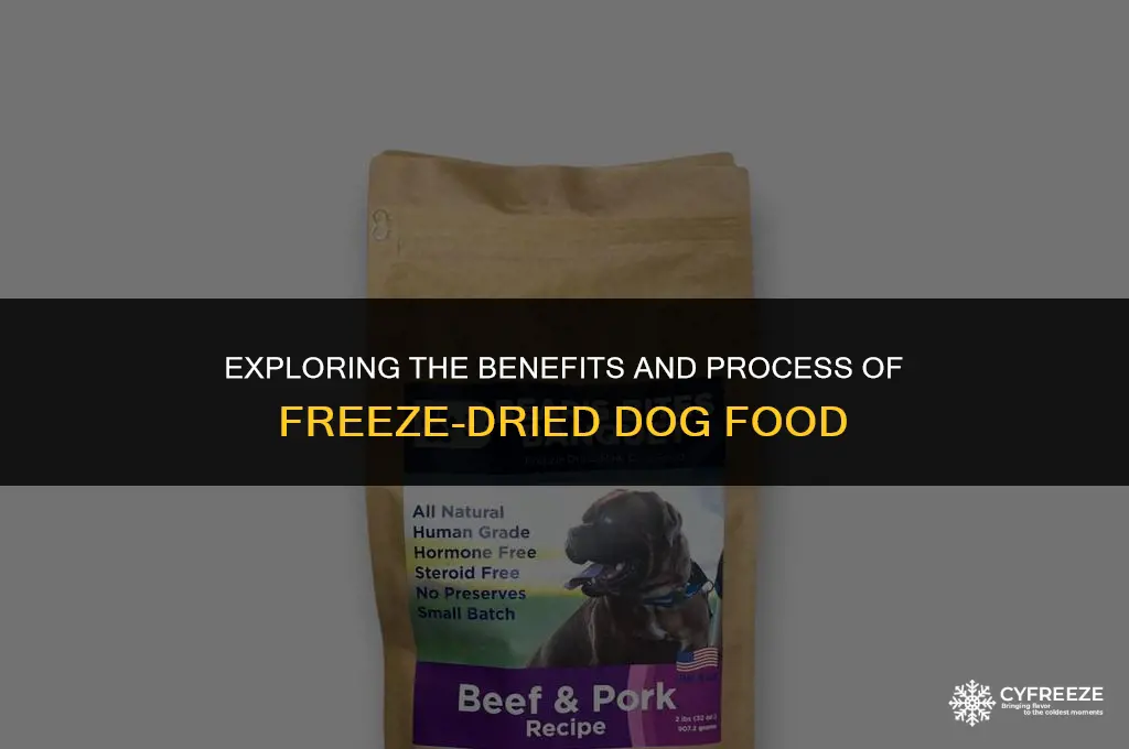 what is freeze dried dog food