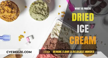 The Scoop on Freeze-Dried Ice Cream: A Delicious Dehydration