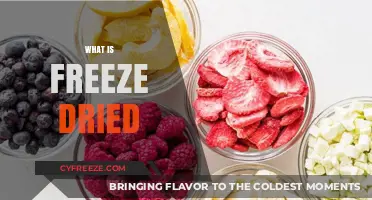 Exploring the World of Freeze-Dried Foods: A Comprehensive Guide