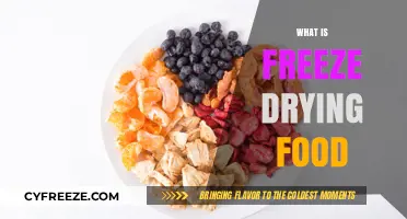 Preserving Freshness: The Ultimate Guide to Freeze Drying Food