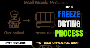 Exploring the Freeze Drying Process: A Comprehensive Guide