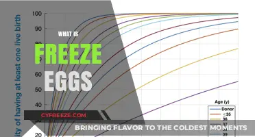 The Complete Guide to Freezing Eggs: Tips and Tricks
