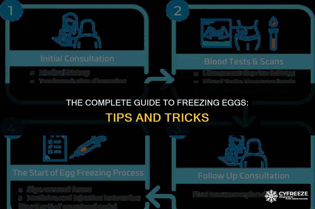 what is freeze eggs