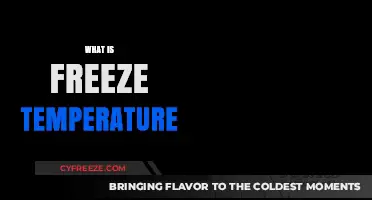 Understanding Freeze Temperature: Causes, Effects, and Prevention Tips
