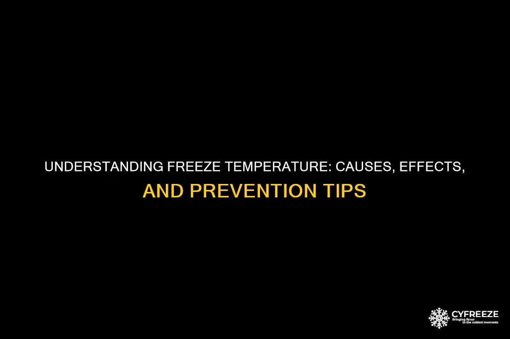 what is freeze temperature
