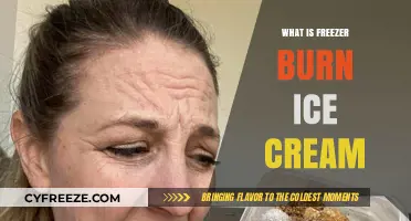 The Scoop on Freezer Burn Ice Cream: Causes and Prevention