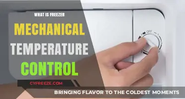 Understanding Freezer Mechanical Temperature Control: Function, Benefits, and Maintenance Tips