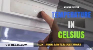 Optimal Freezer Temperature in Celsius: A Guide to Food Preservation