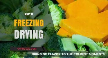 Exploring the Science Behind Freeze-Drying: A Comprehensive Guide
