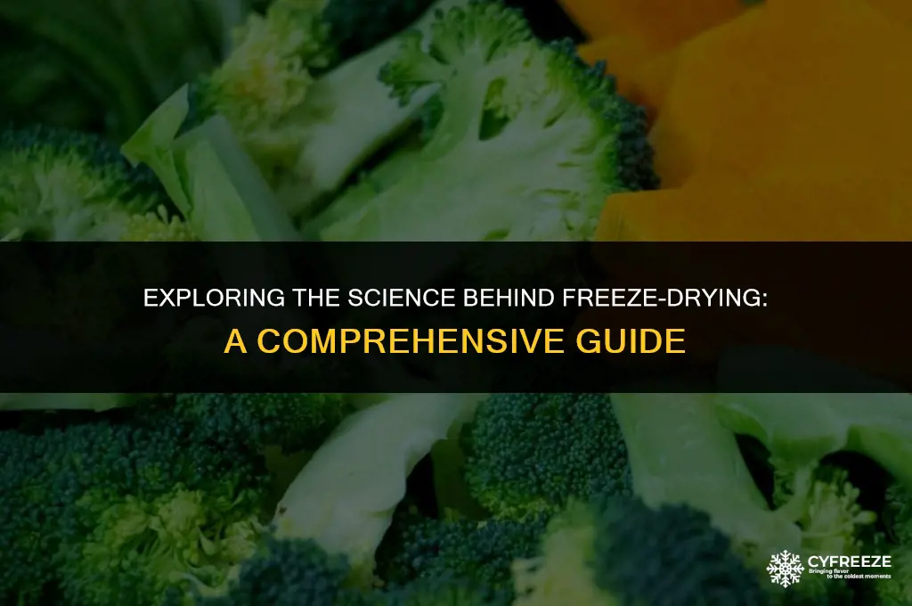 what is freezing drying