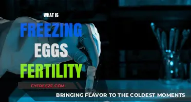 Preserving Fertility: A Guide to Freezing Eggs for Future Parenthood
