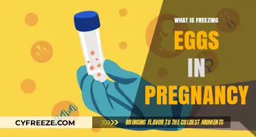 Preserving Fertility: A Guide to Freezing Eggs During Pregnancy