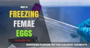 Preserving Fertility: A Guide to Female Egg Freezing