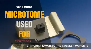 Understanding Freezing Microtome Applications in Tissue Sectioning and Research