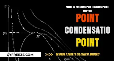 Understanding Key Phase Transitions: Freezing, Boiling, Melting, and Condensation Points