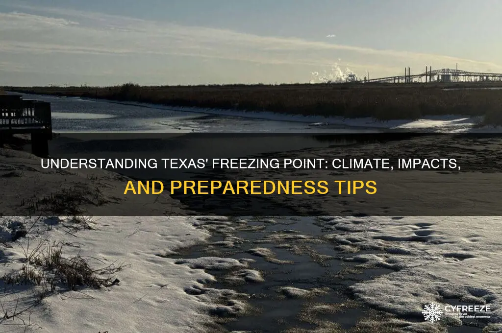 what is freezing point in texas