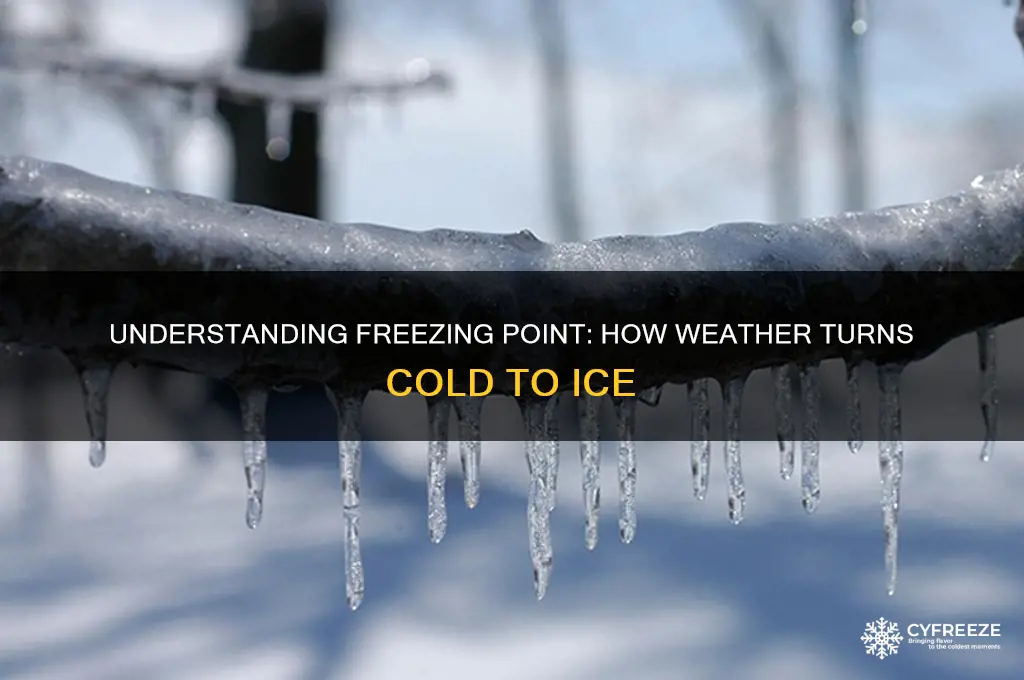 what is freezing point in weather