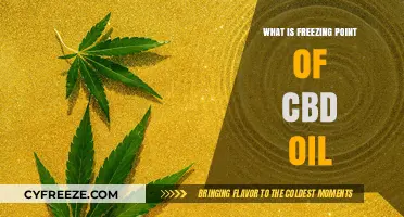 Understanding the Freezing Point of CBD Oil: A Comprehensive Guide