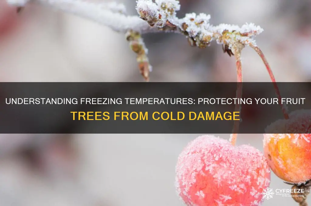 what is freezing temperature for fruit trees