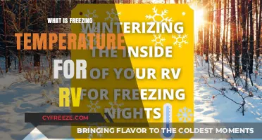 Understanding RV Freezing Temperatures: Essential Tips for Winter Camping