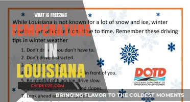 Understanding Louisiana's Freezing Temperatures: Climate Insights and Winter Trends