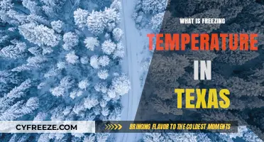 Texas Winter Chill: Understanding the State's Freezing Temperature Threshold
