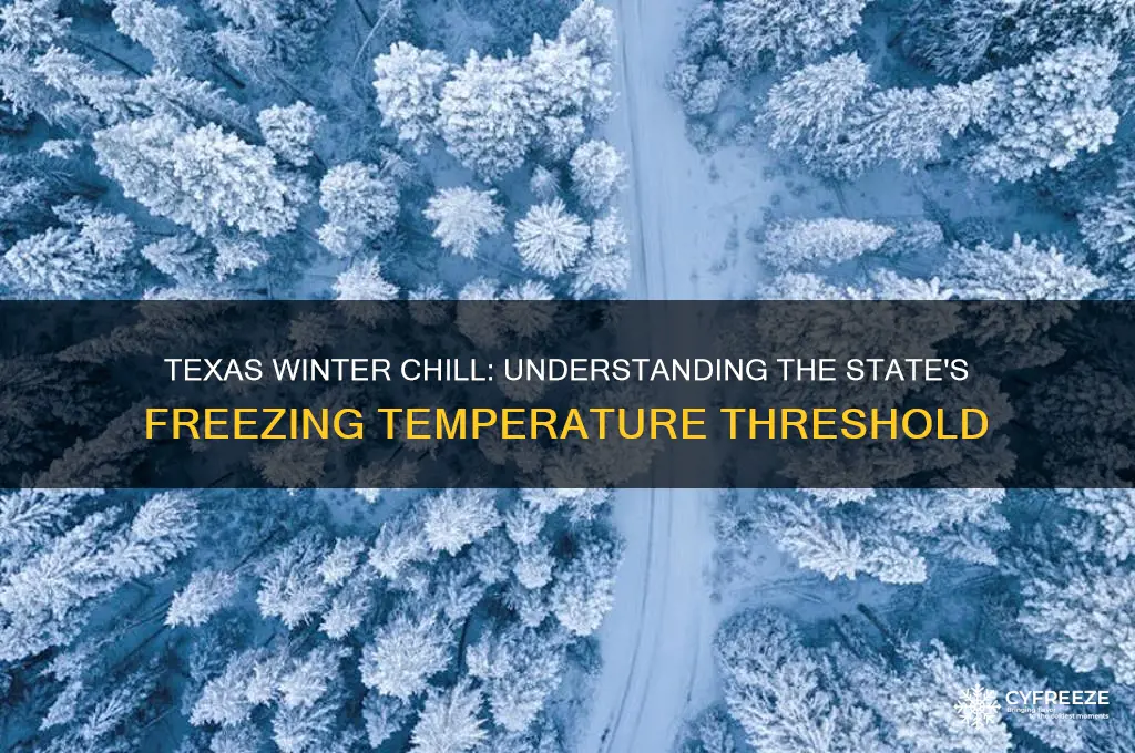 what is freezing temperature in texas