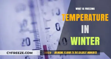 Understanding Winter's Chill: What is the Freezing Temperature?
