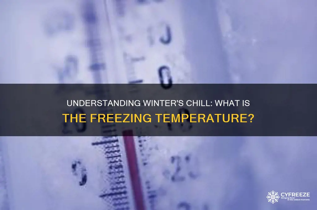 what is freezing temperature in winter