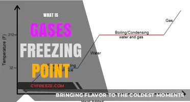 Understanding Gases: Exploring the Concept of Freezing Point in Gaseous States