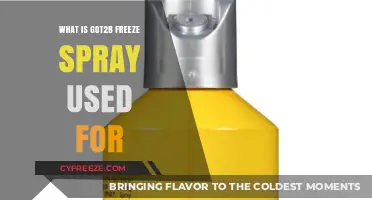 Got2b Freeze Spray: Styling Uses and Benefits Explained