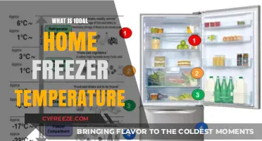 Ideal Home Freezer Temperature: A Guide to Food Safety and Efficiency