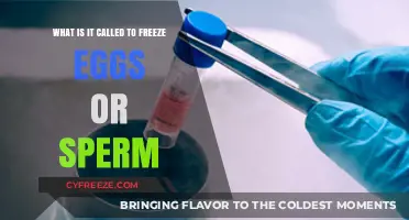 Preserving Fertility: The Science and Process of Egg and Sperm Freezing