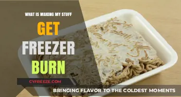 Understanding Freezer Burn: Causes and Prevention for Your Frozen Foods