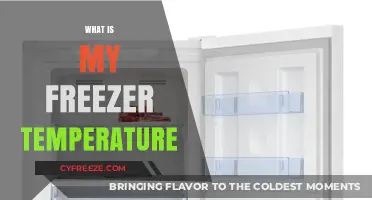 Optimal Freezer Temperature: How Cold Should Your Freezer Really Be?
