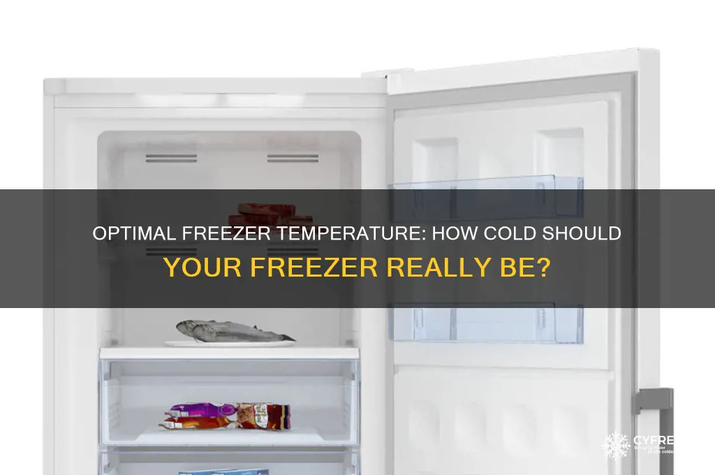 what is my freezer temperature
