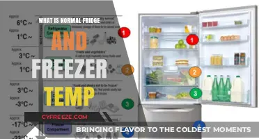 Ideal Refrigerator and Freezer Temperature Settings for Food Safety