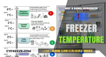 Optimal Fridge and Freezer Temps: What’s Normal for Food Safety?