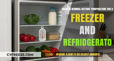 Optimal Freezer and Refrigerator Temperatures for Food Safety and Freshness