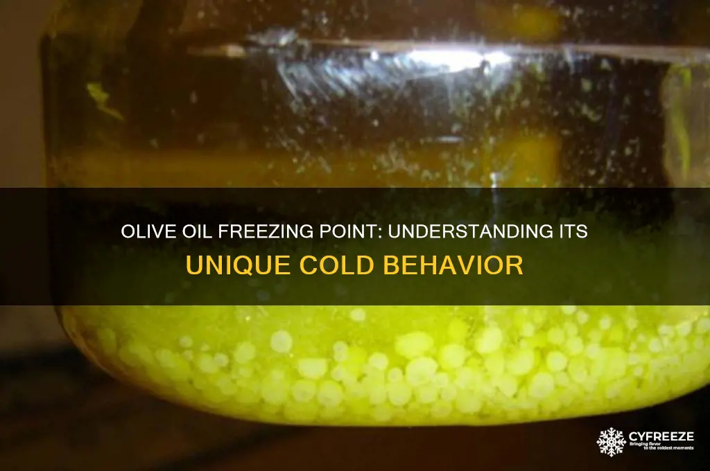 what is olive oil freezing point