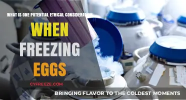 Ethical Dilemmas in Egg Freezing: A Comprehensive Overview