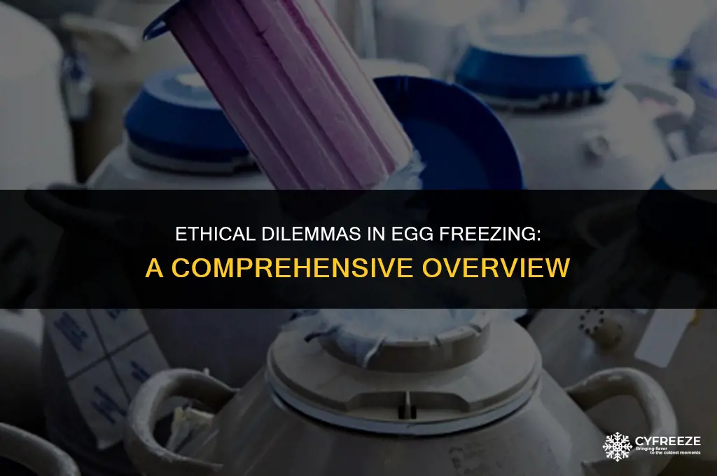 what is one potential ethical consideration when freezing eggs