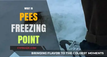 Understanding Pee's Freezing Point: Surprising Facts and Science Explained