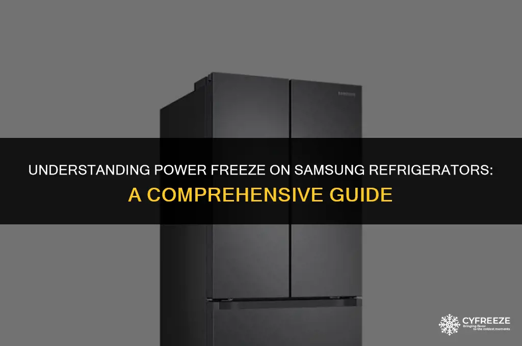 what is power freeze on samsung fridge