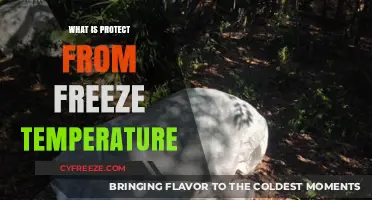 Understanding Protect from Freeze Temperature: Essential Tips for Winter Safety