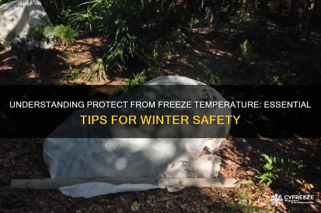 what is protect from freeze temperature