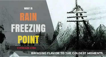 Understanding Rain's Freezing Point: Science Behind Winter Weather Phenomena