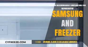 Optimal Samsung Fridge and Freezer Temperatures for Freshness and Efficiency