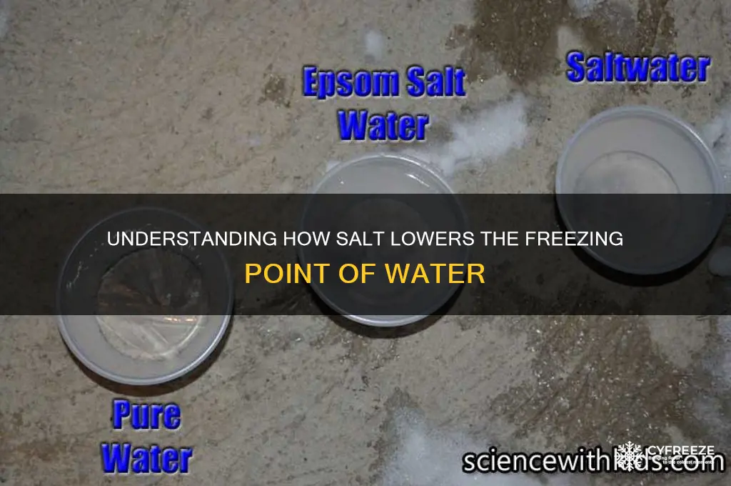 what is salt freezing point