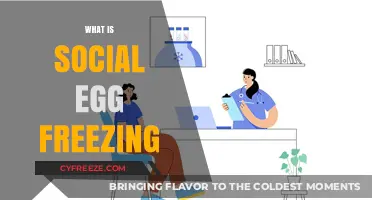 Exploring Social Egg Freezing: A Modern Approach to Family Planning